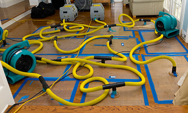 Professional Crawl Space Water Removal technician working in Yorkshire, OH